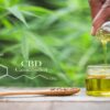 Understanding CBD